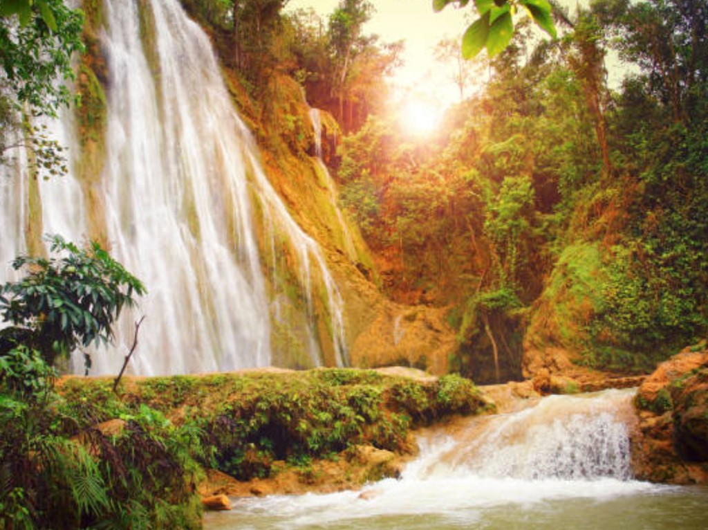 El Limón waterfall in Samaná cascading through lush tropical jungle