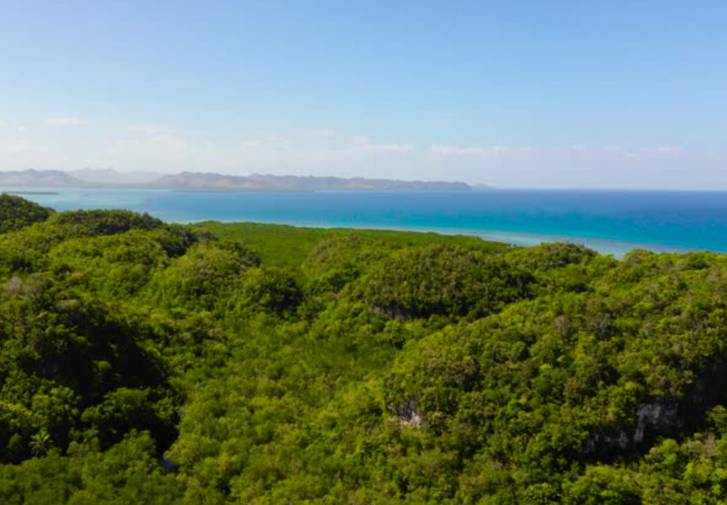 Aerial view of Los Haitises National Park karst hills and turquoise bay waters on a combo excursion